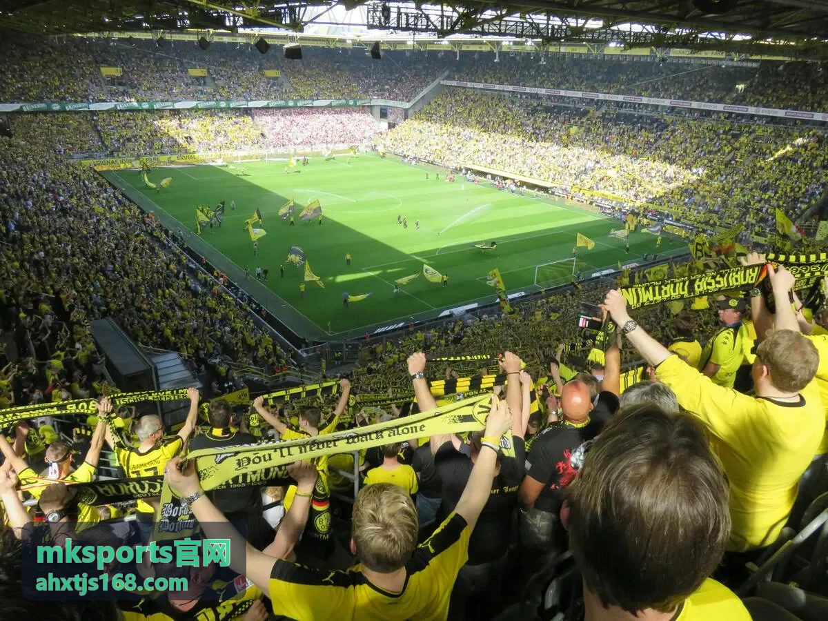 mksports官网提供的分队训练背心与号码定制装备