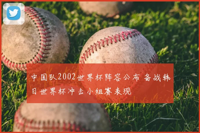 中国队2002世界杯阵容公布 备战韩日世界杯冲击小组赛表现