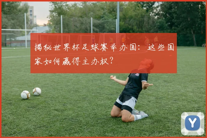 揭秘世界杯足球赛举办国：这些国家如何赢得主办权？