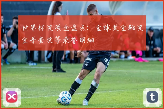 世界杯奖项全盘点：金球奖金靴奖金手套奖等荣誉明细