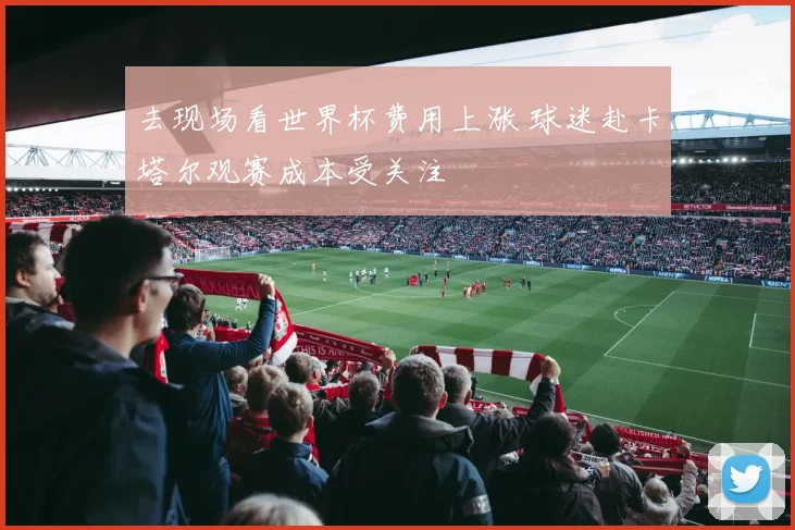 去现场看世界杯费用上涨 球迷赴卡塔尔观赛成本受关注