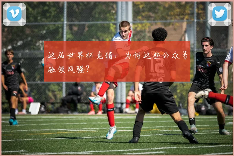这届世界杯竞猜，为何这些公众号独领风骚？