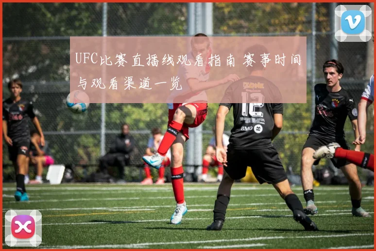UFC比赛直播线观看指南 赛事时间与观看渠道一览